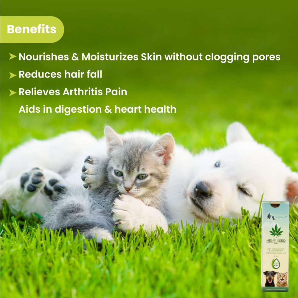 Wiggles Pain Anxiety Relief Hemp Seed Oil for Pets
