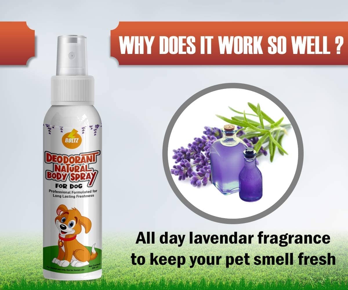 Boltz Body Spray Perfume Deodorizers for Pets