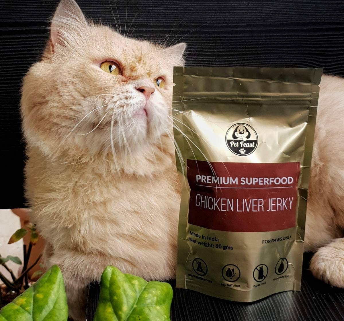 Pet Feast Chicken Liver Jerky For Pets