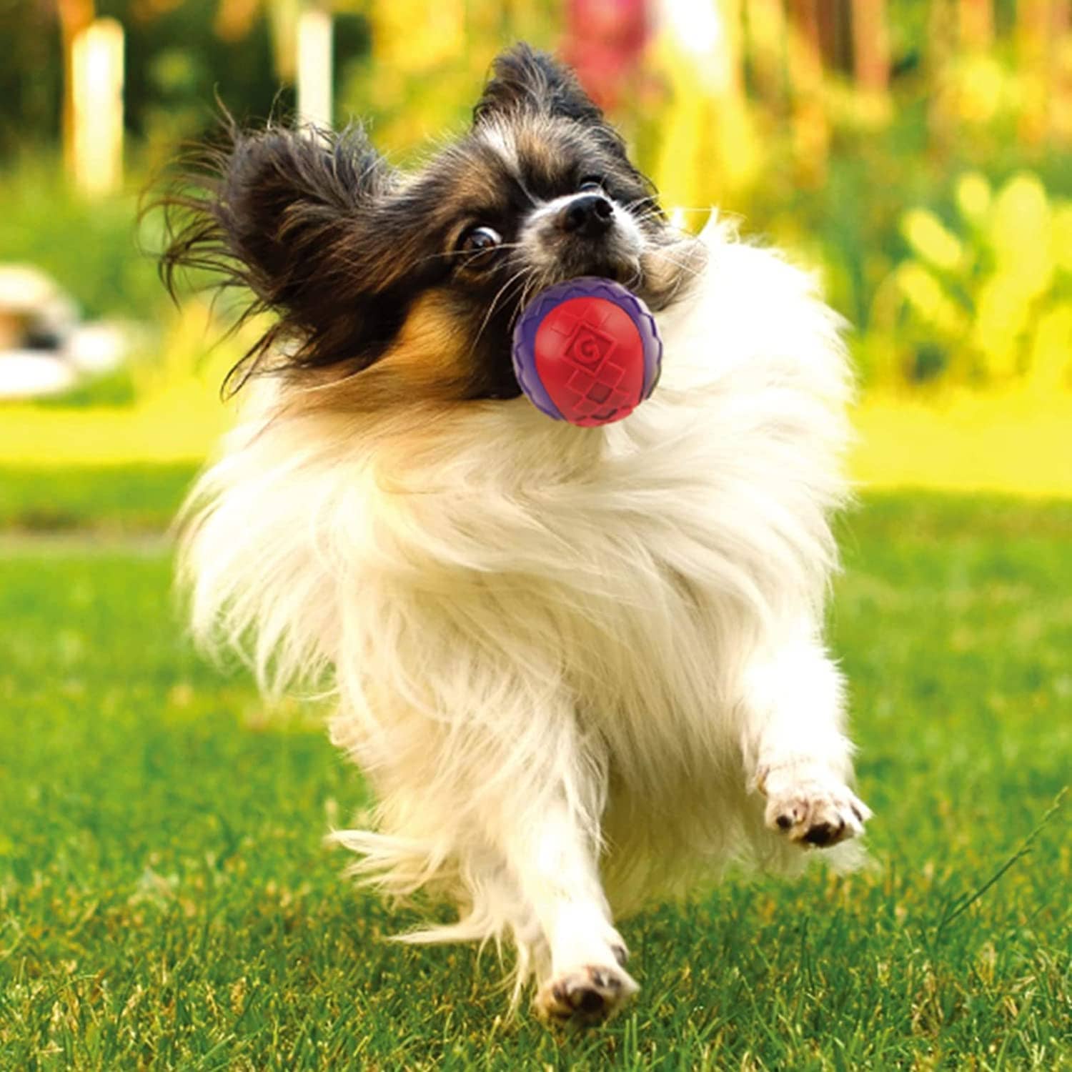 GiGwi Ball Squeaker Toy for Dogs (Pack of 3)