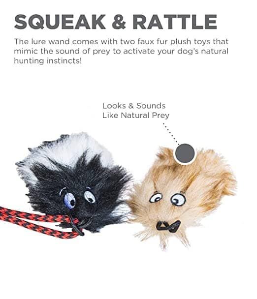 Outdoor Hound Tail Teaser with Refill Interactive Dog Toy