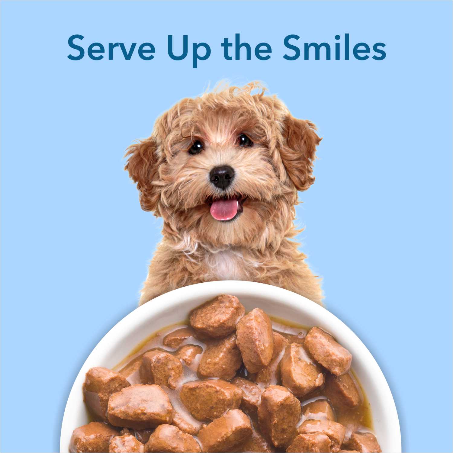 Purepet Chicken & Vegetable Chunks in Gravy Adult Wet Dog Food
