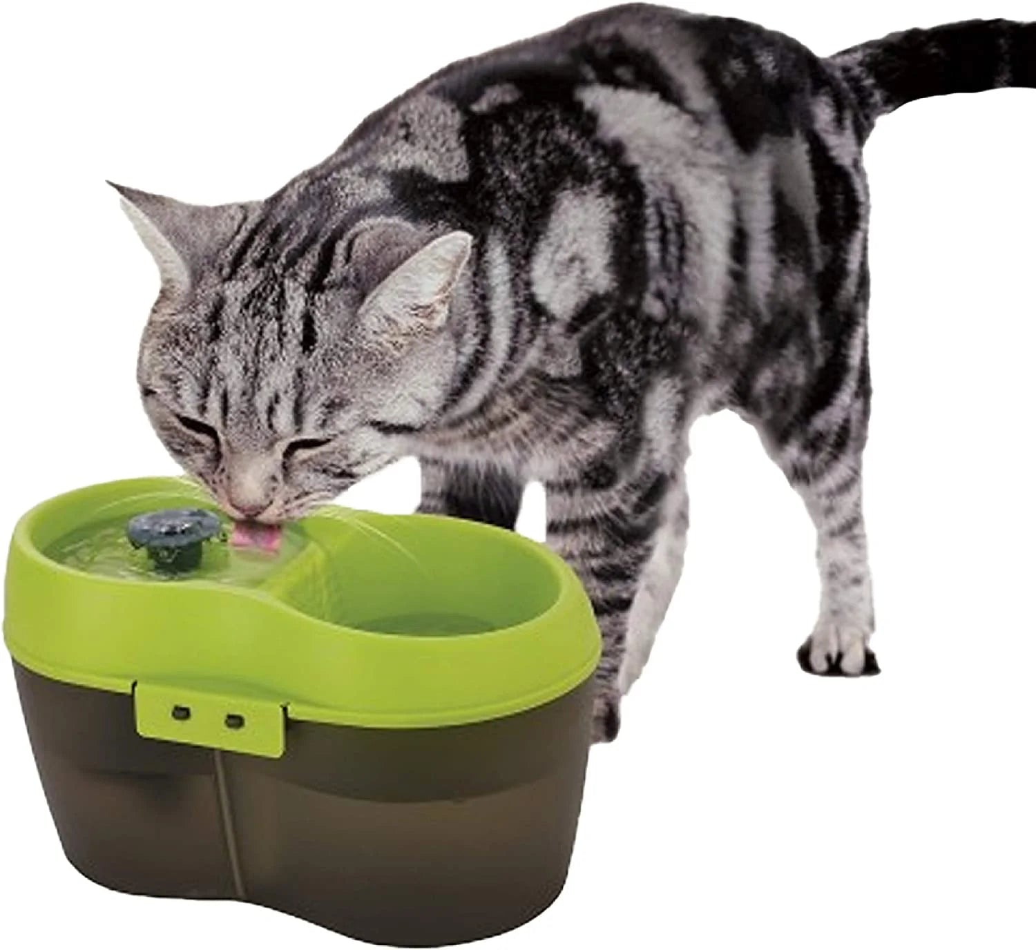 Goofy Tails Water Fountain Automatic Water Dispenser for Pets (2L)