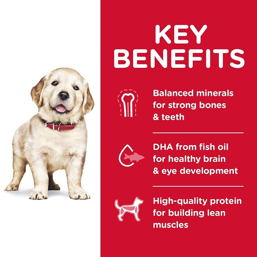 Hills Science Diet Lamb Meal & Brown Rice Recipe Large Breed Puppy Dry Food