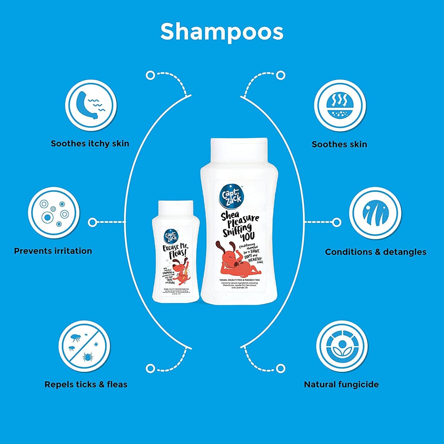 Captain Zack The Shihtzu Groom Box for Dogs