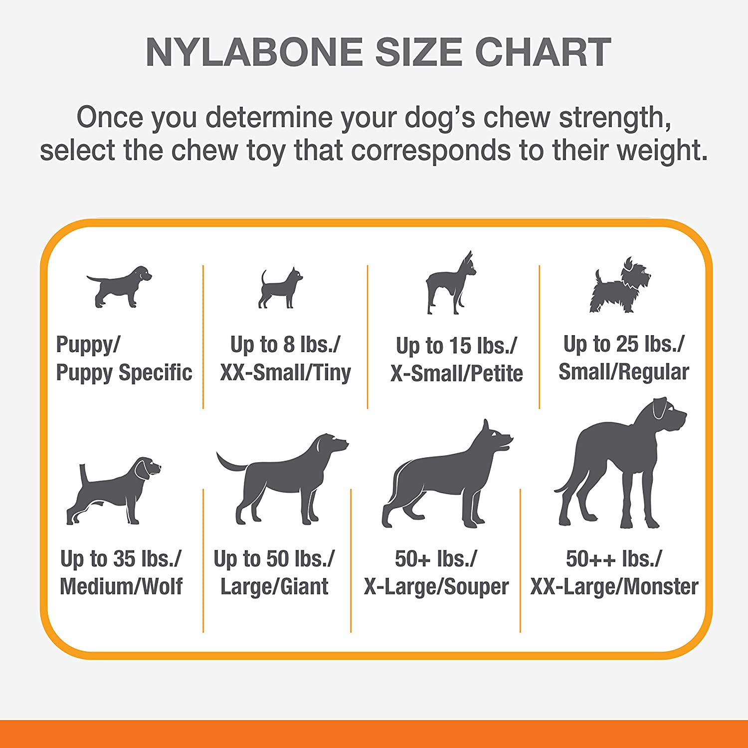 Nylabone Beef Jerky Flavor Frenzy Power Chew Souper Dog Toy