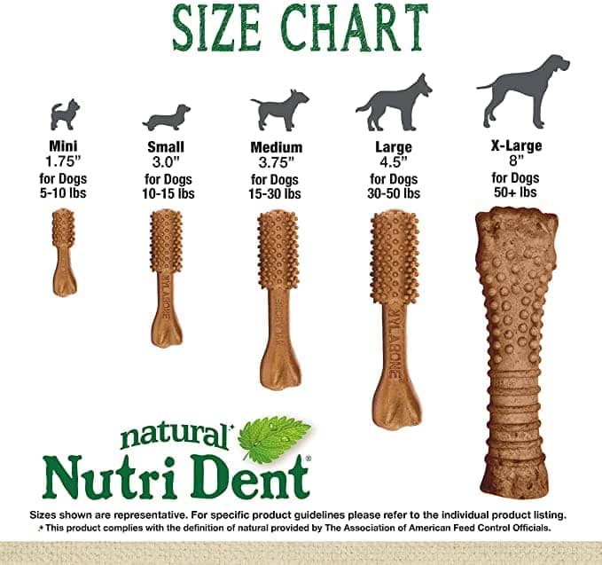 Nylabone Filet Mignon Nutri Dent Dental Treats for Mini Breed Dogs