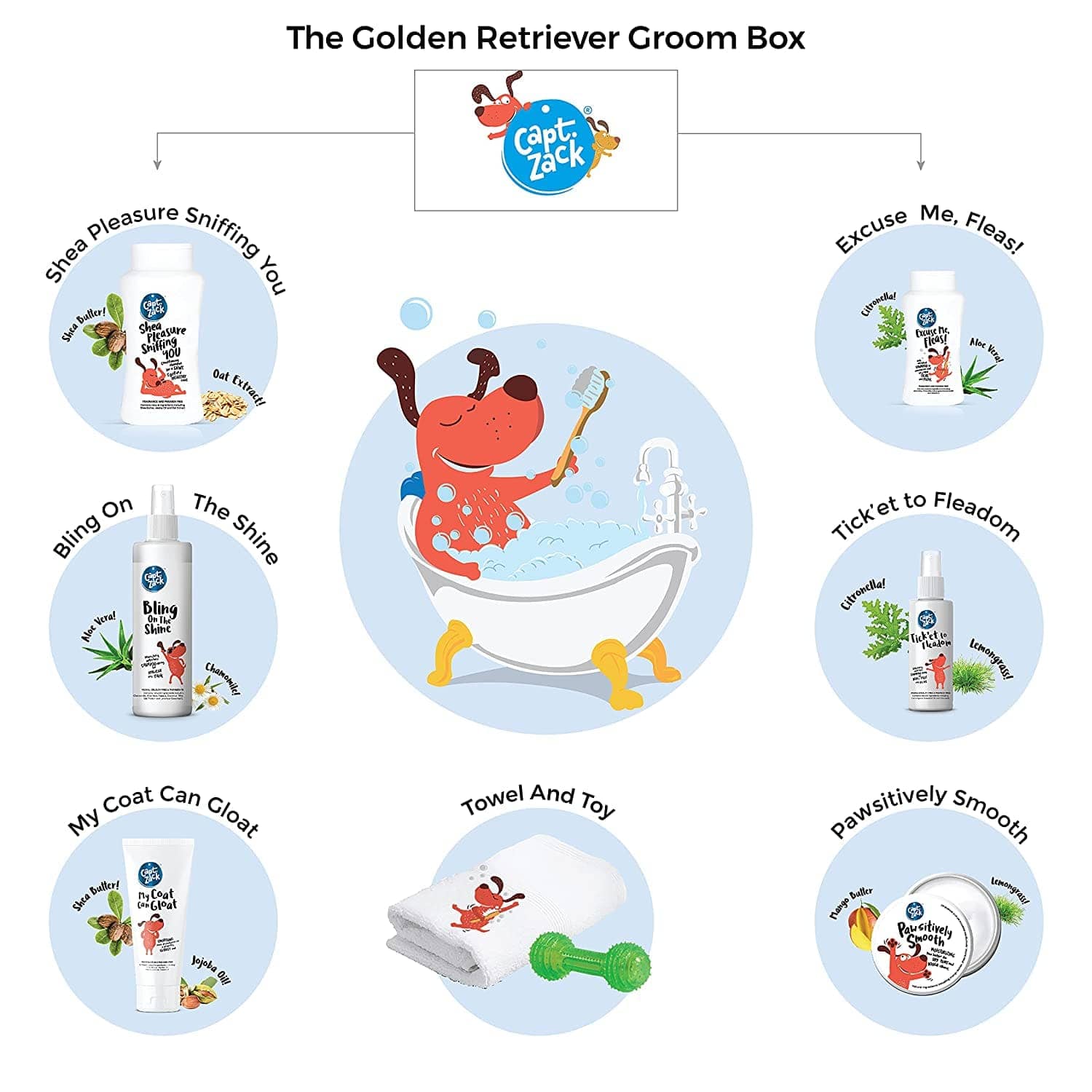 Captain Zack The Golden Retriever Box for Dogs