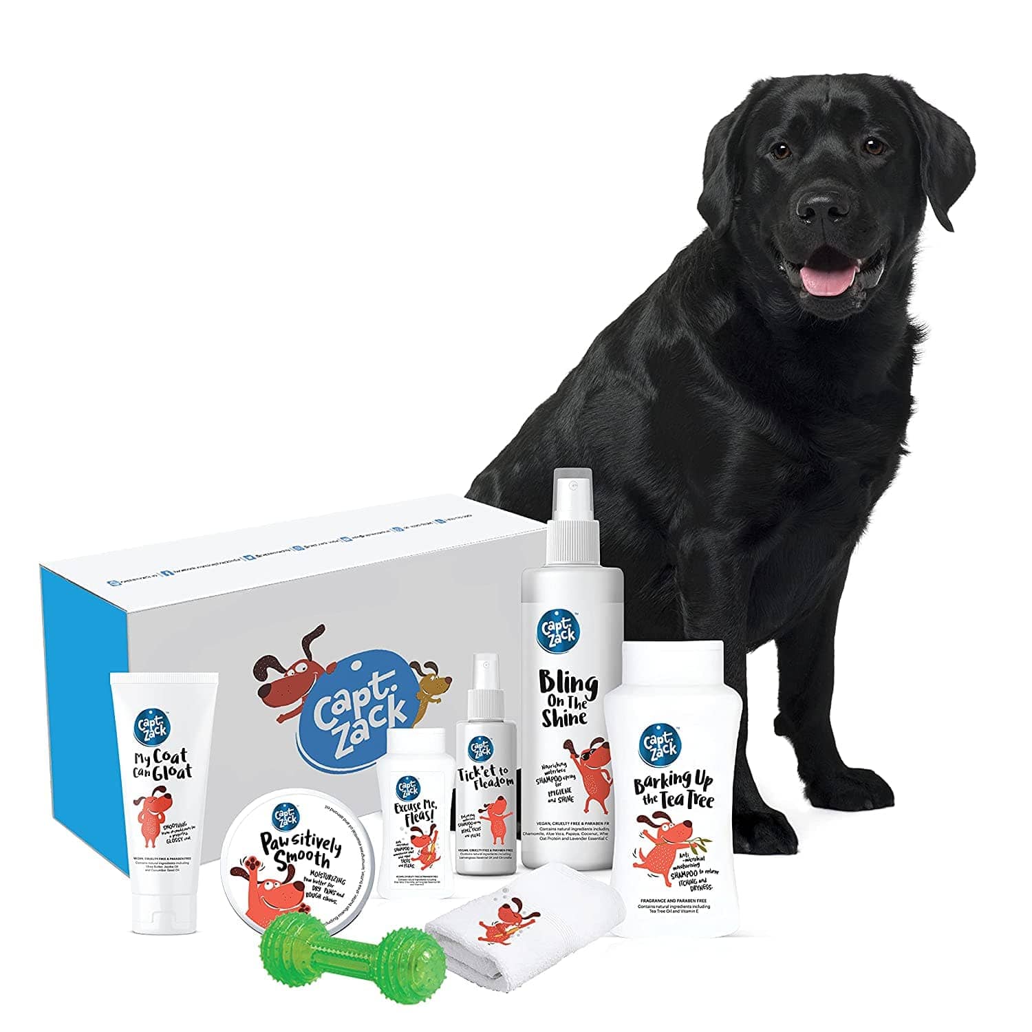 Captain Zack The Labrador Groom Box for Dogs