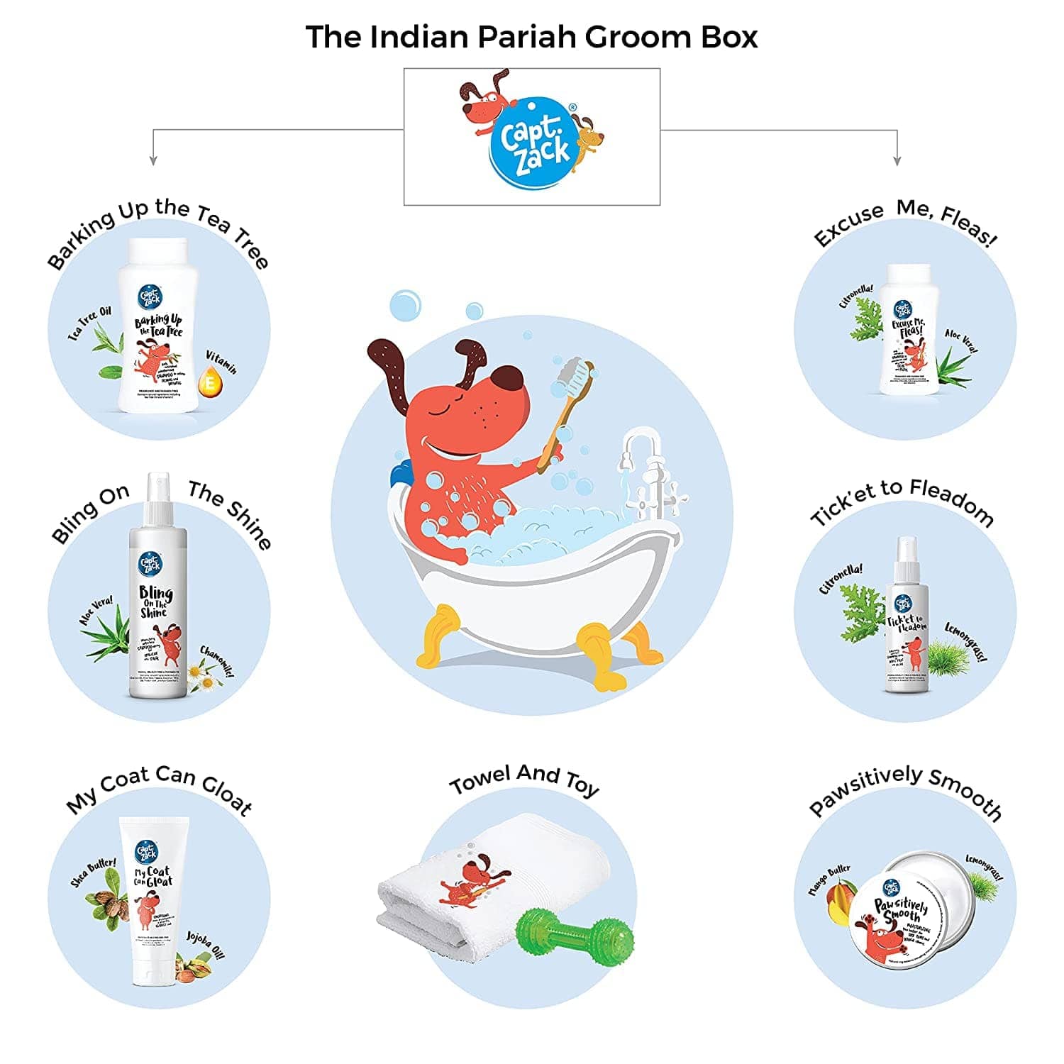 Captain Zack The Indian Pariah Groom Box for Dogs