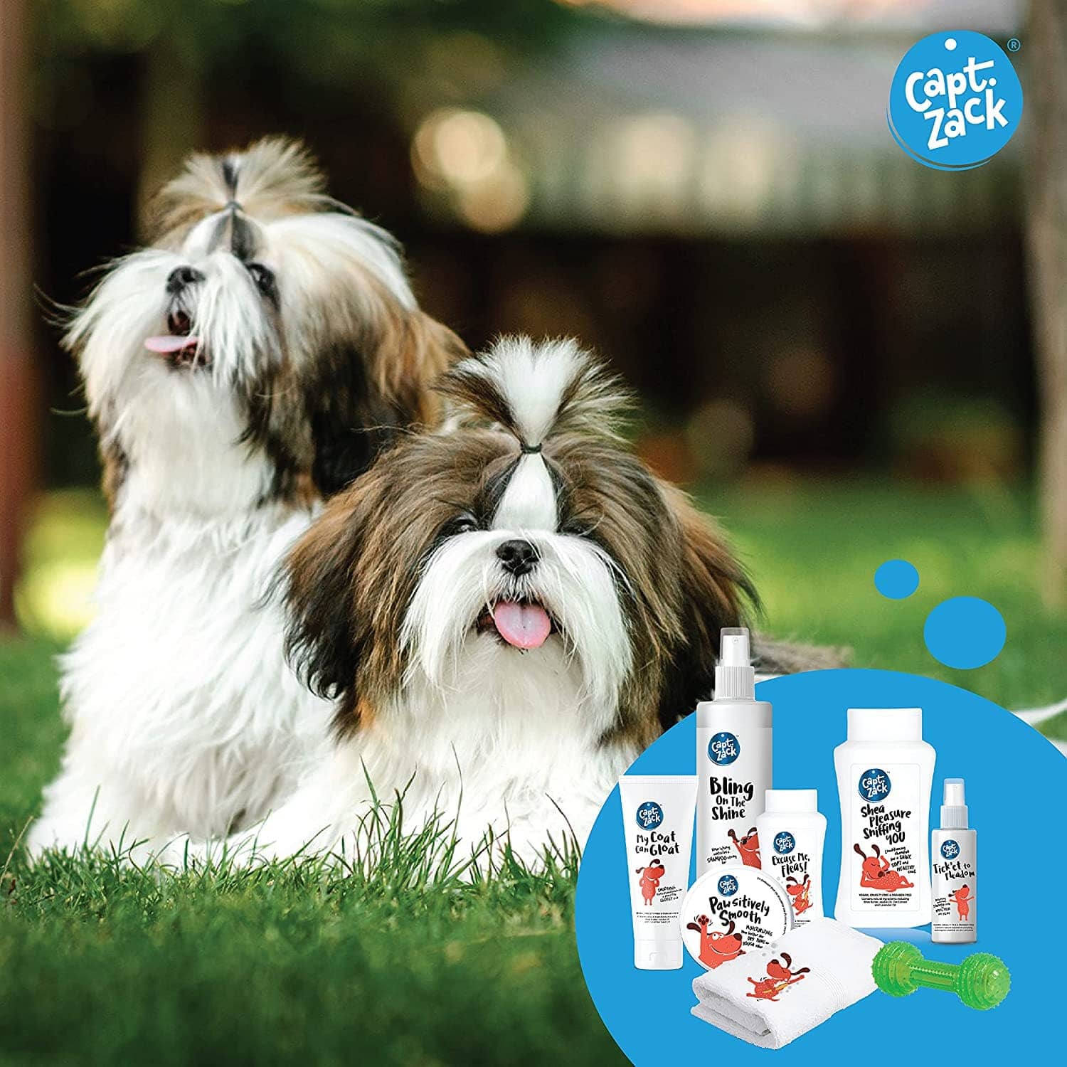 Captain Zack The Shihtzu Groom Box for Dogs