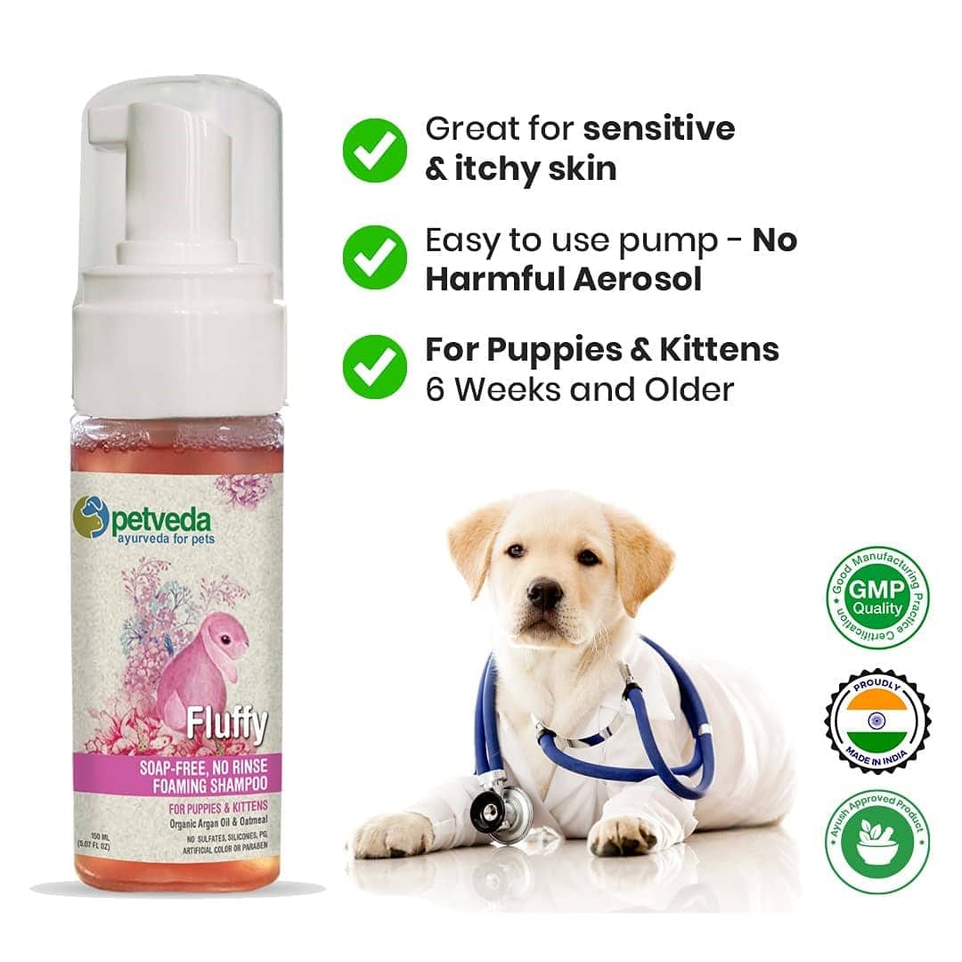Petveda Fluffy Soap Free No Rinse Foaming Shampoo for Pets