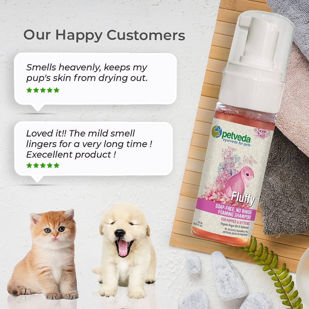 Petveda Fluffy Soap Free No Rinse Foaming Shampoo for Pets