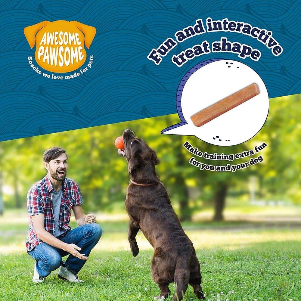 Awesome Pawsome Salmon Supreme Grain-Free Dog Treats