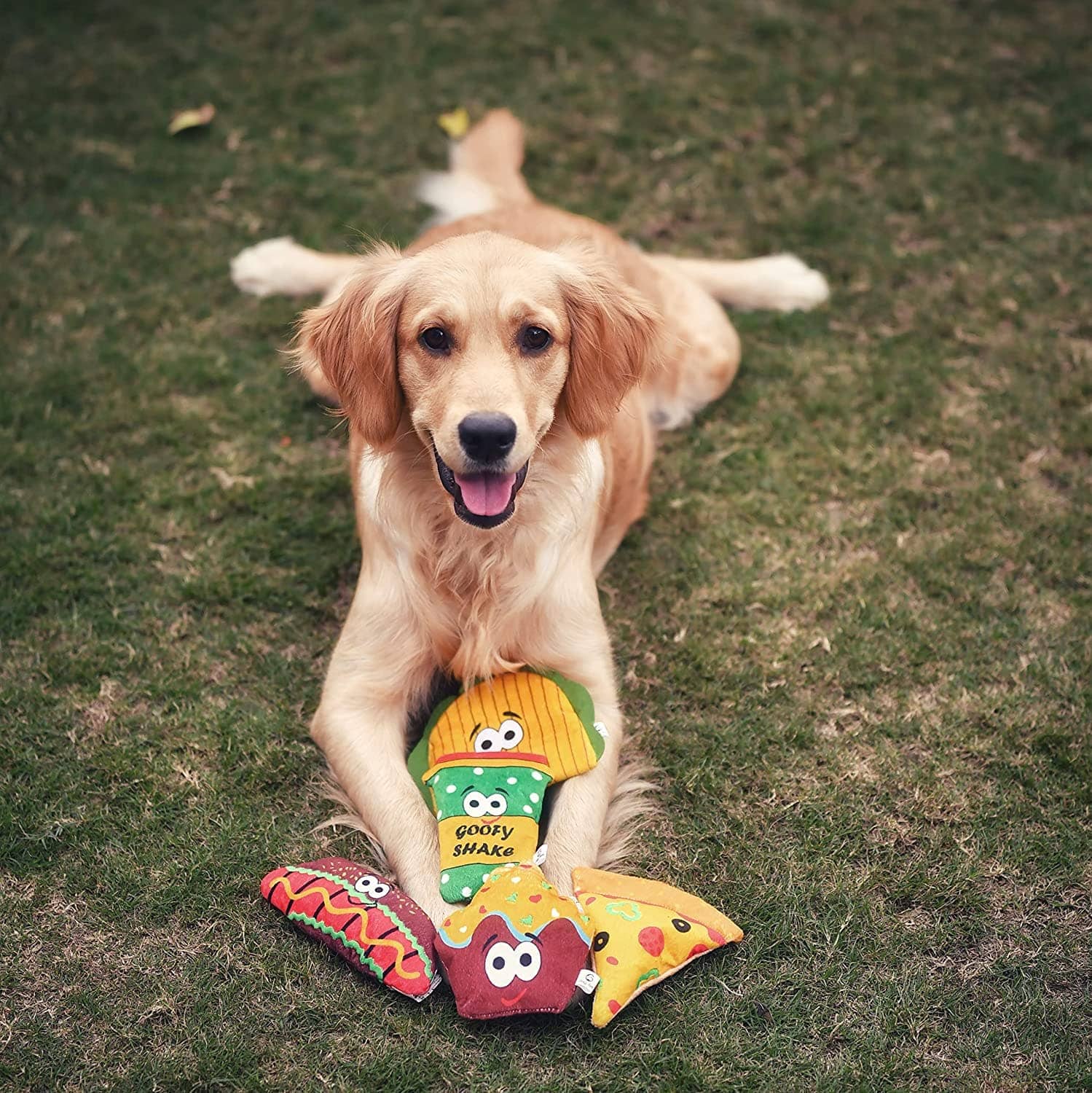 Goofy Tails Food Buddies Muffin Plush Toy For Dogs