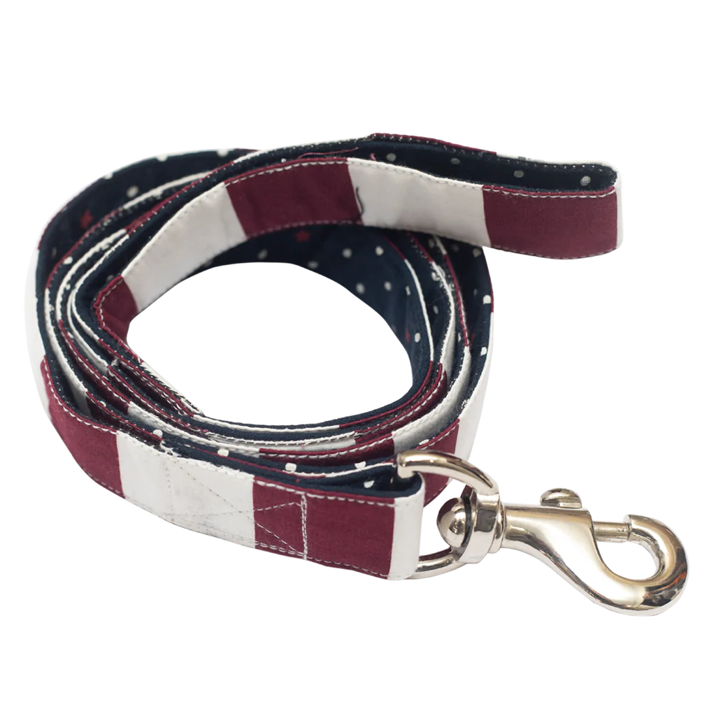 Pet And Parents (Namaste Pets) Starry Stripes Leash for Dogs