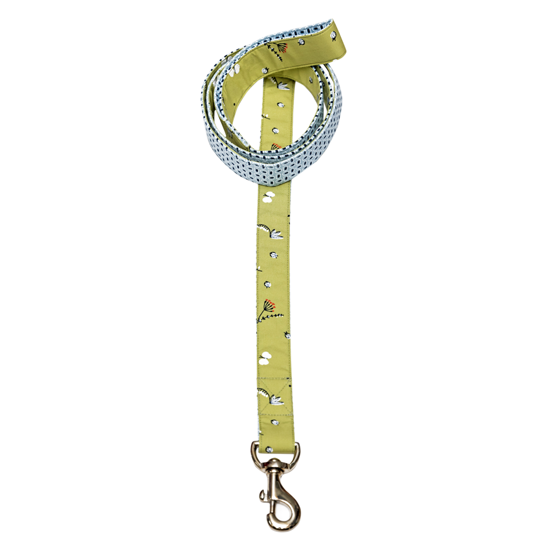 Pet And Parents (Namaste Pets) Green Garden Leash for Dogs