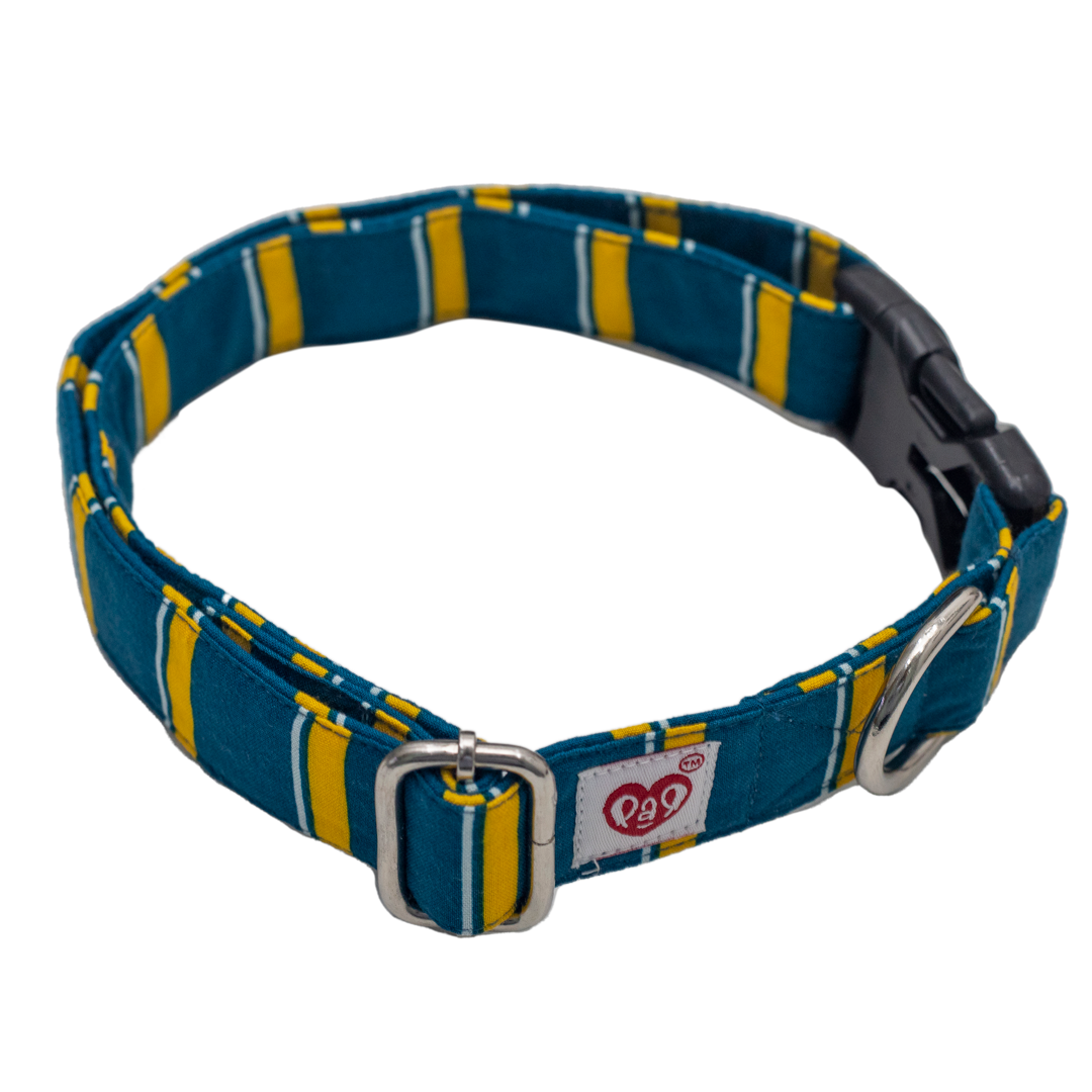 Pet And Parents (Namaste Pets) Turquoise Collar for Dogs