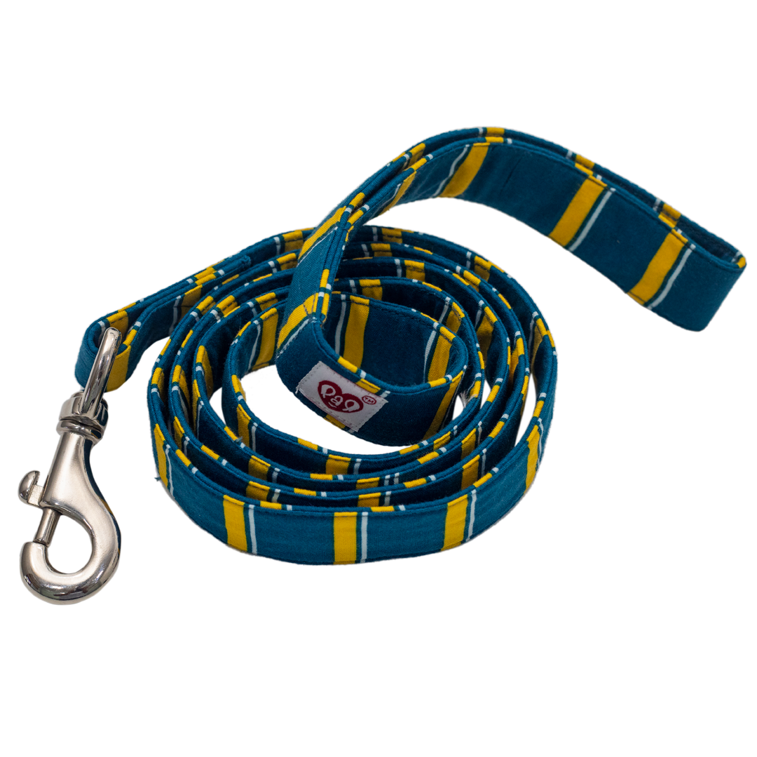 Pet And Parents (Namaste Pets) Turquoise Leash for Dogs
