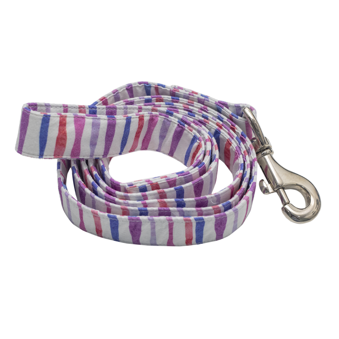 Pet And Parents (Namaste Pets) Multi Stripe Leash for Dogs