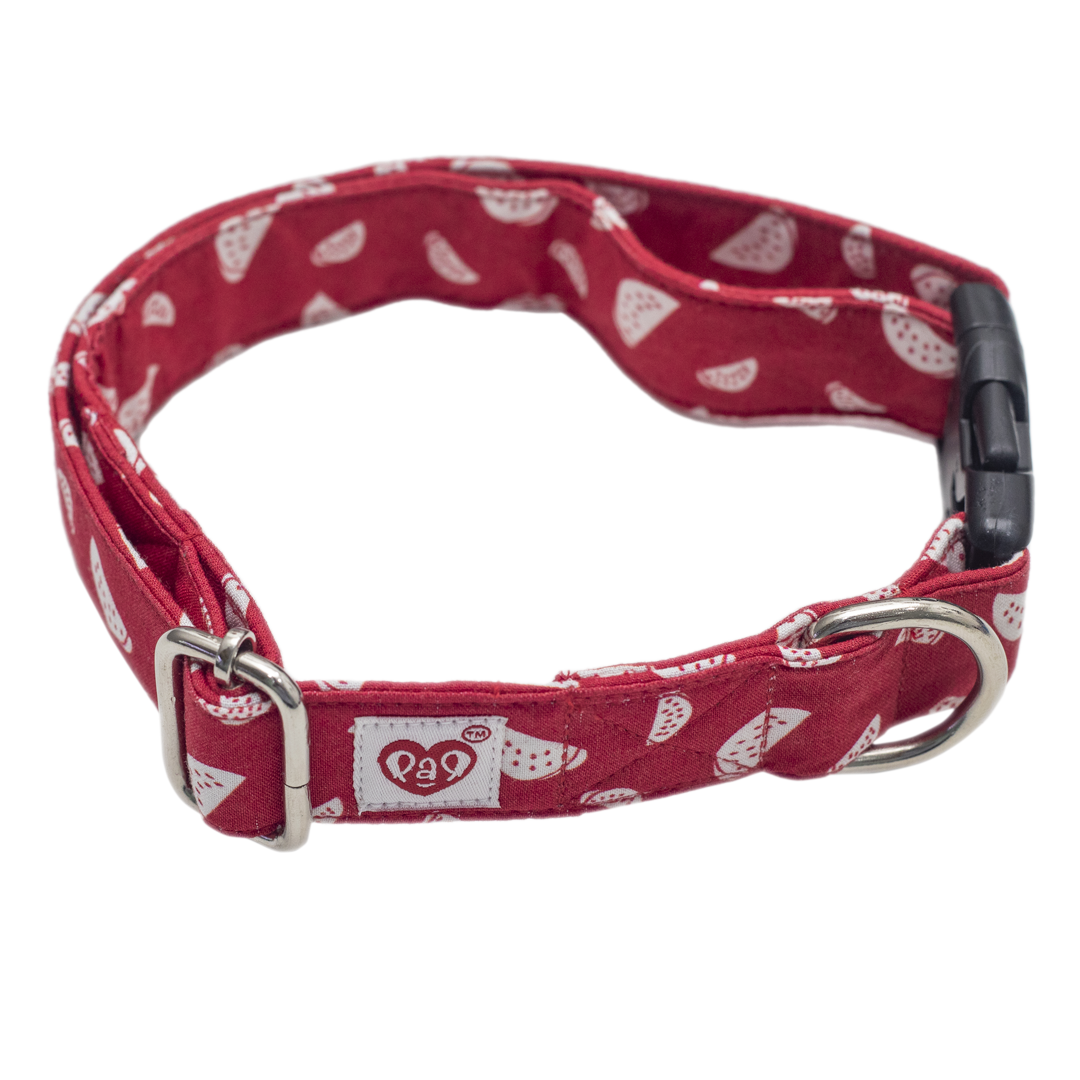 Pet And Parents (Namaste Pets) Red Watermelon Collar for Dogs