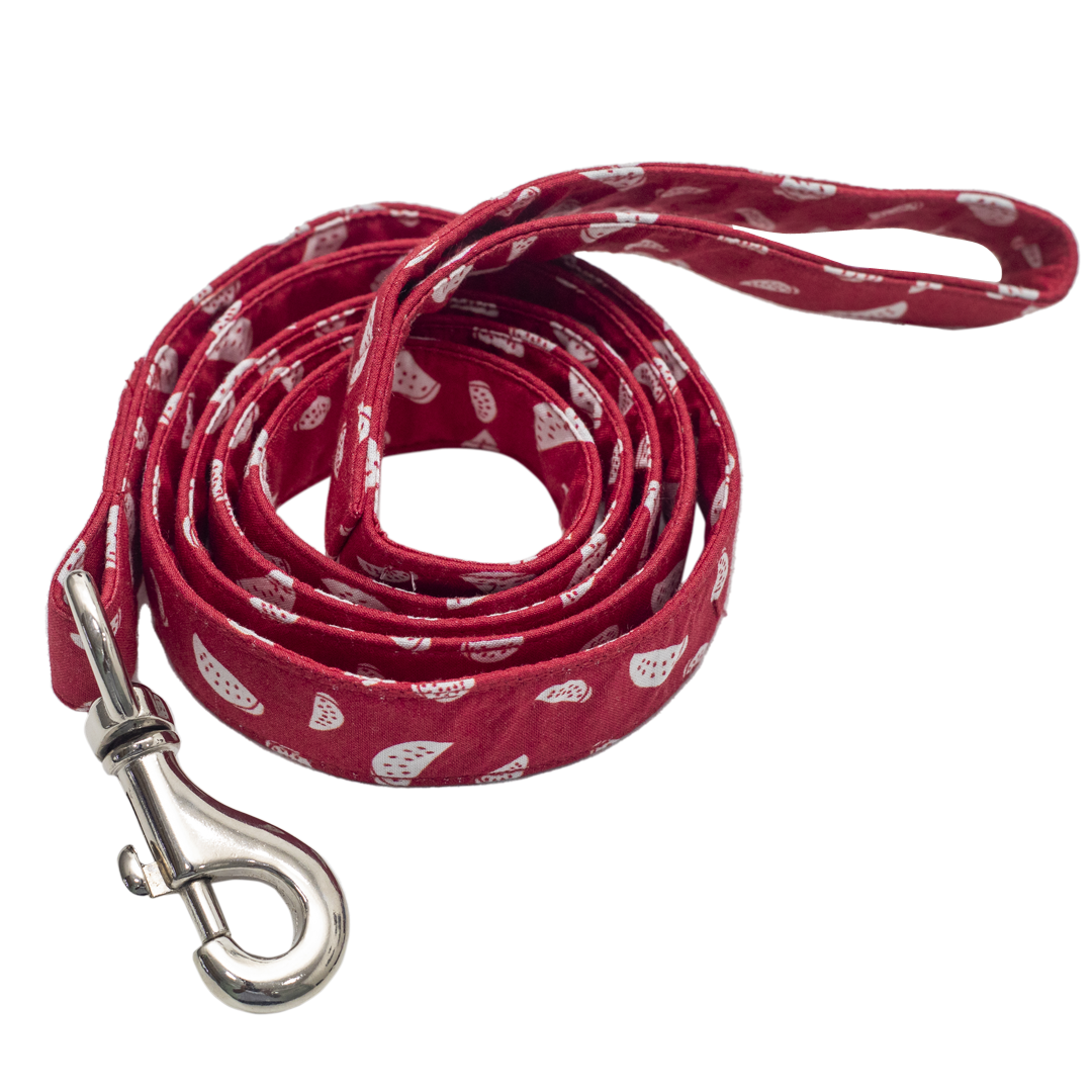 Pet And Parents (Namaste Pets) Red Watermelon Leash for Dogs