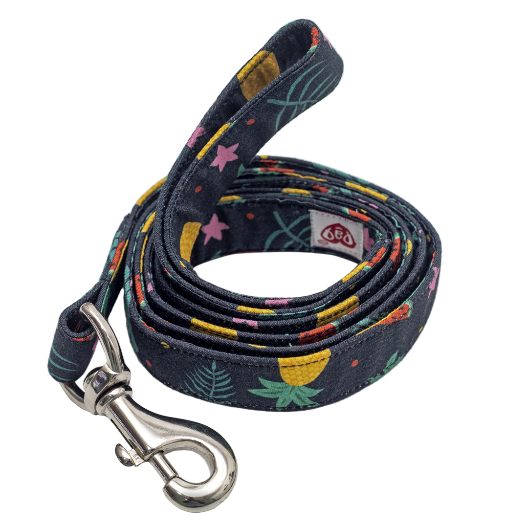 Pet And Parents (Namaste Pets) Fresh Fruit Leash for Dogs