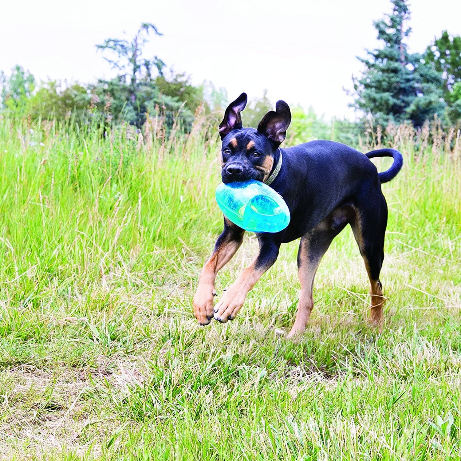 Kong Jumbler Footall Dog Toy - Assorted