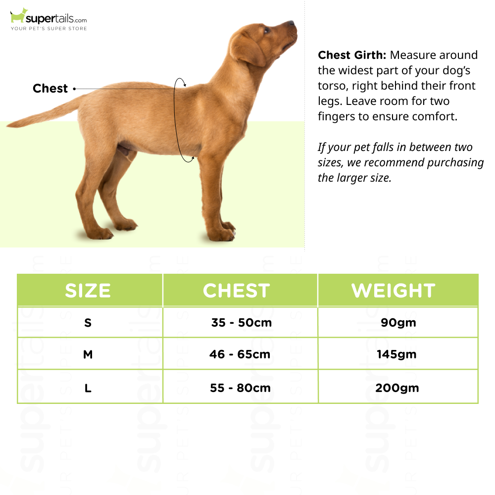 A Plus A Pets Rainbow Vest Style Step in Harness for Dogs