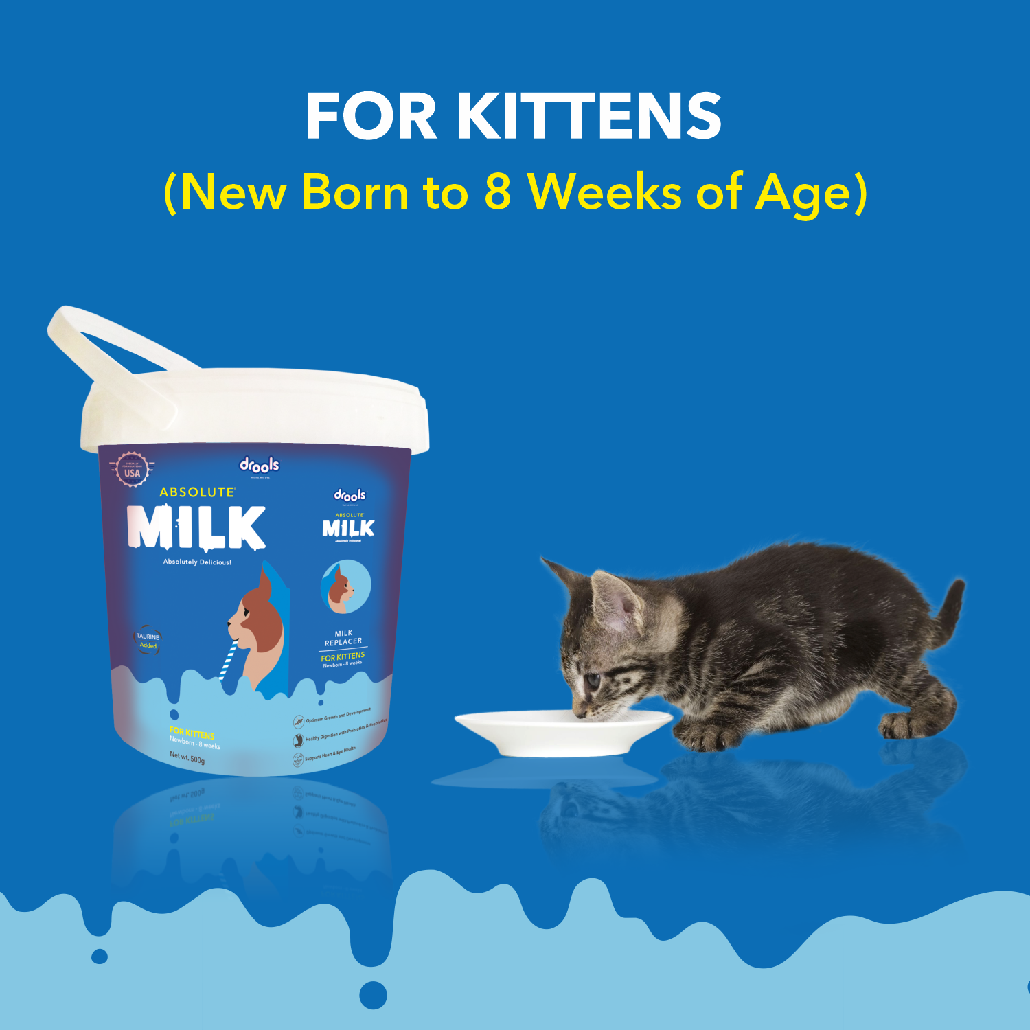 Drools Absolute Milk for Kitten