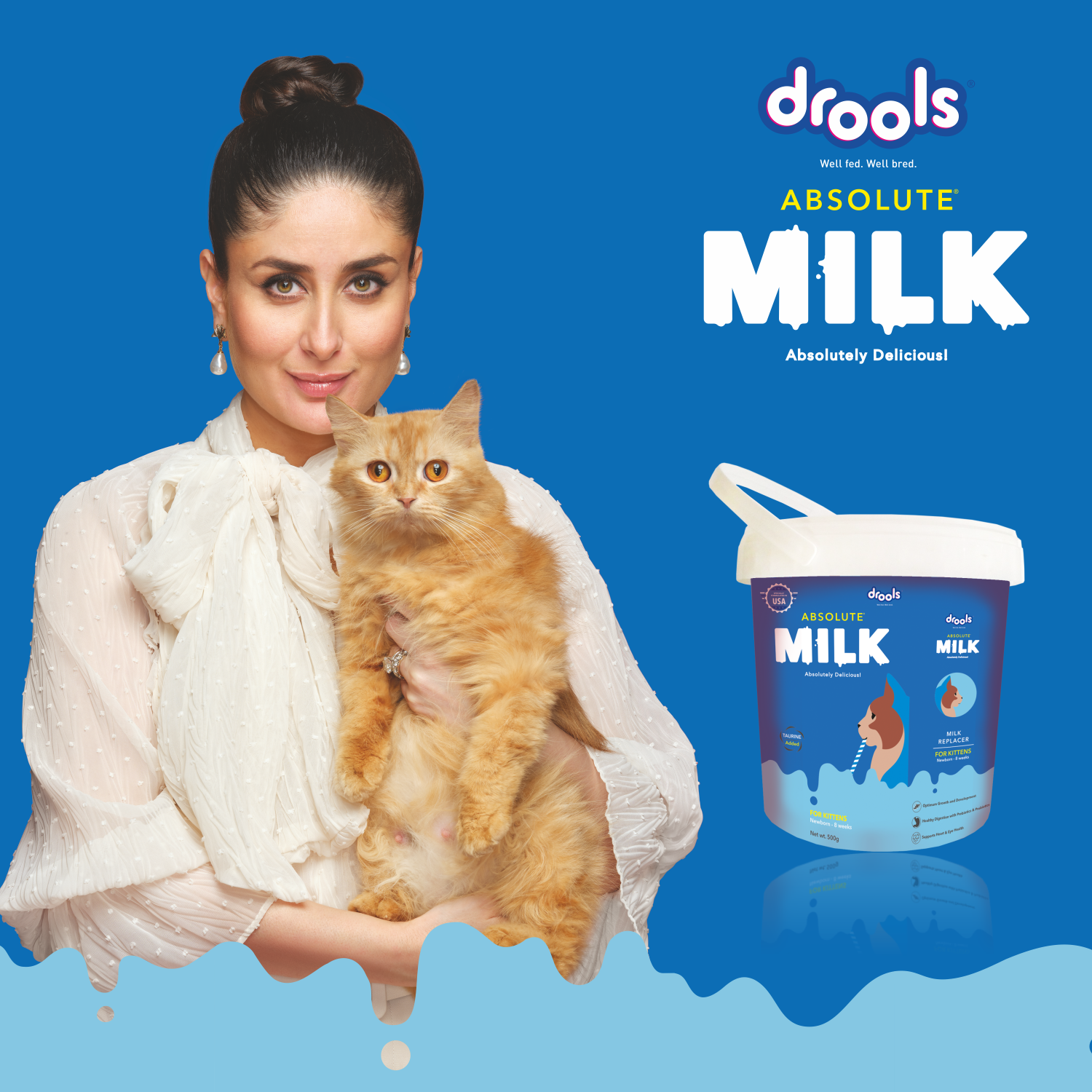 Drools Absolute Milk for Kitten