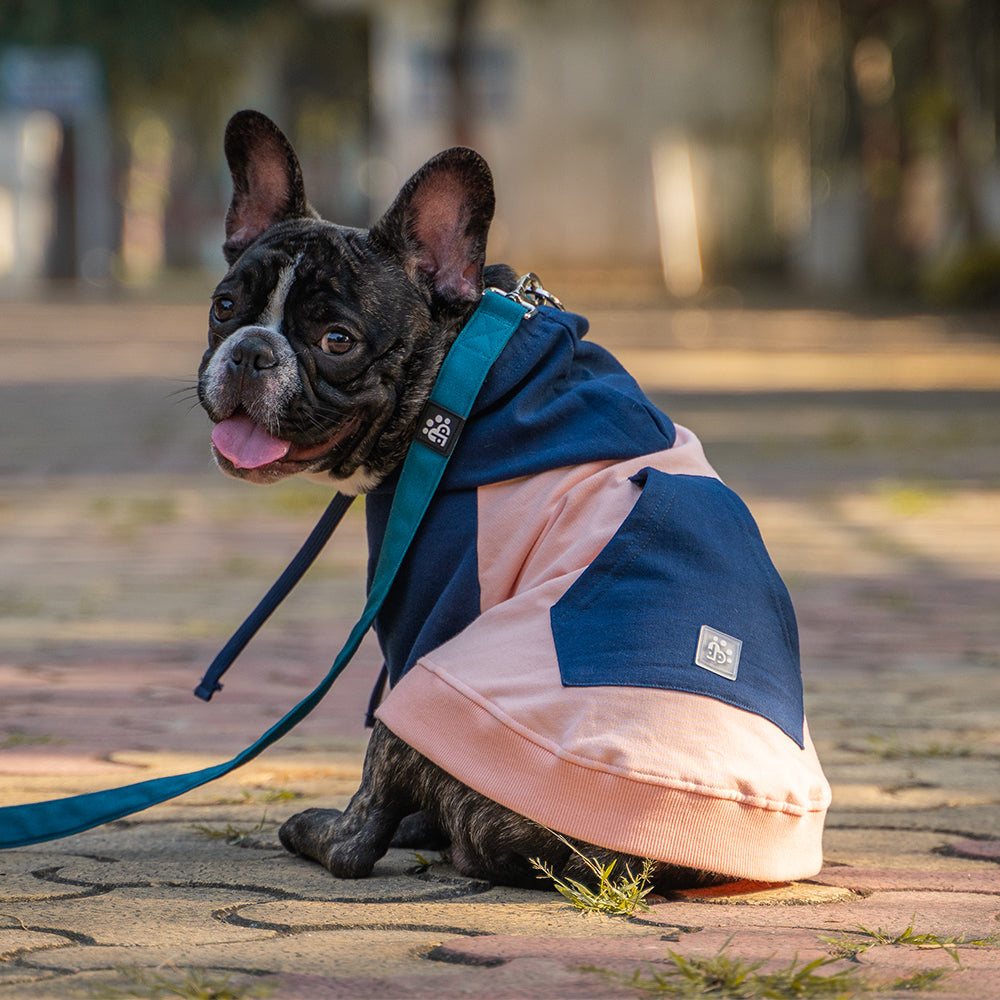 Dear Pet Stripes Sweatshirts for Dogs (Peach & Blue)