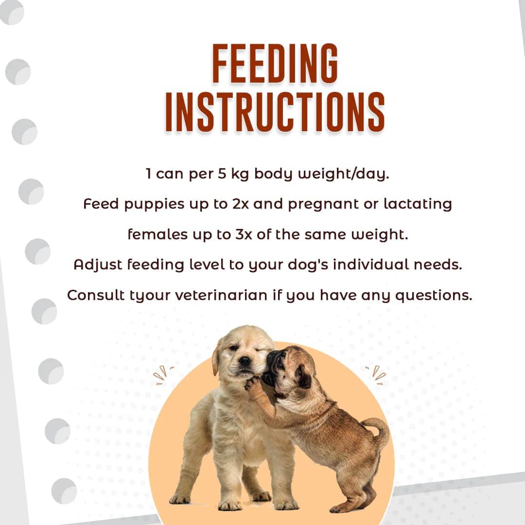 Kennel Kitchen Chicken Liver Gourmet Loaf with Pumpkin Dog Wet Food for Adults & Puppies