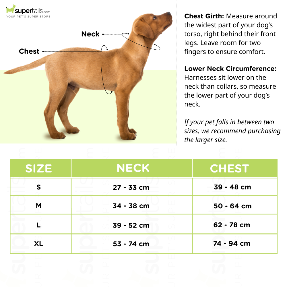 Whoof Whoof Bottom Padded Harness for Dogs (Green)