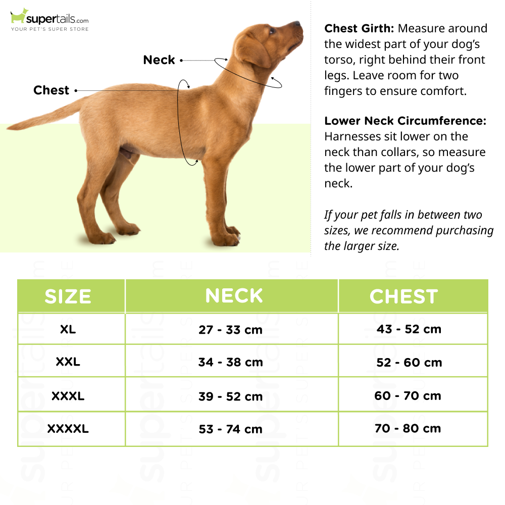 Whoof Whoof Meash Harness + Leash for Dogs (Black)