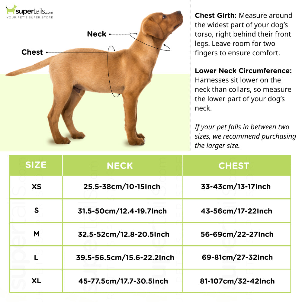 Truelove Classic Harness for Dogs (Grey)