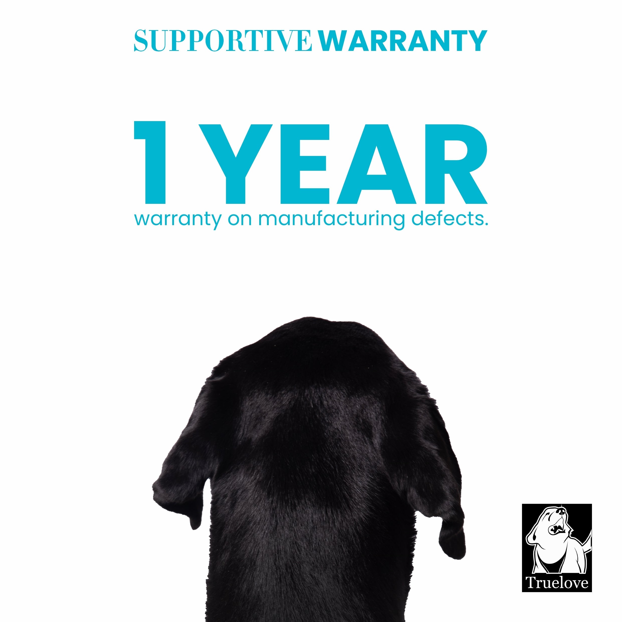 Truelove Step-in Harness with 3M for Dogs (Blue)