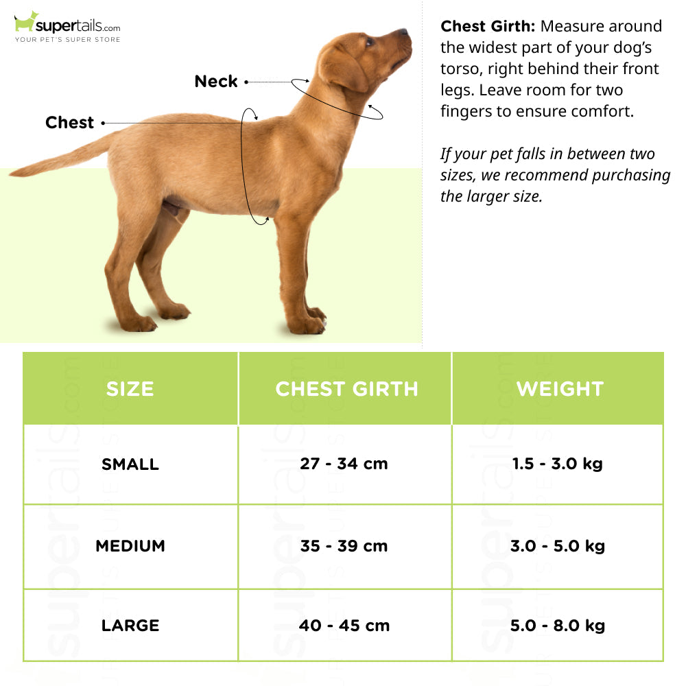 Basil Printed Mesh Adjustable Harness for Dogs (Assorted)