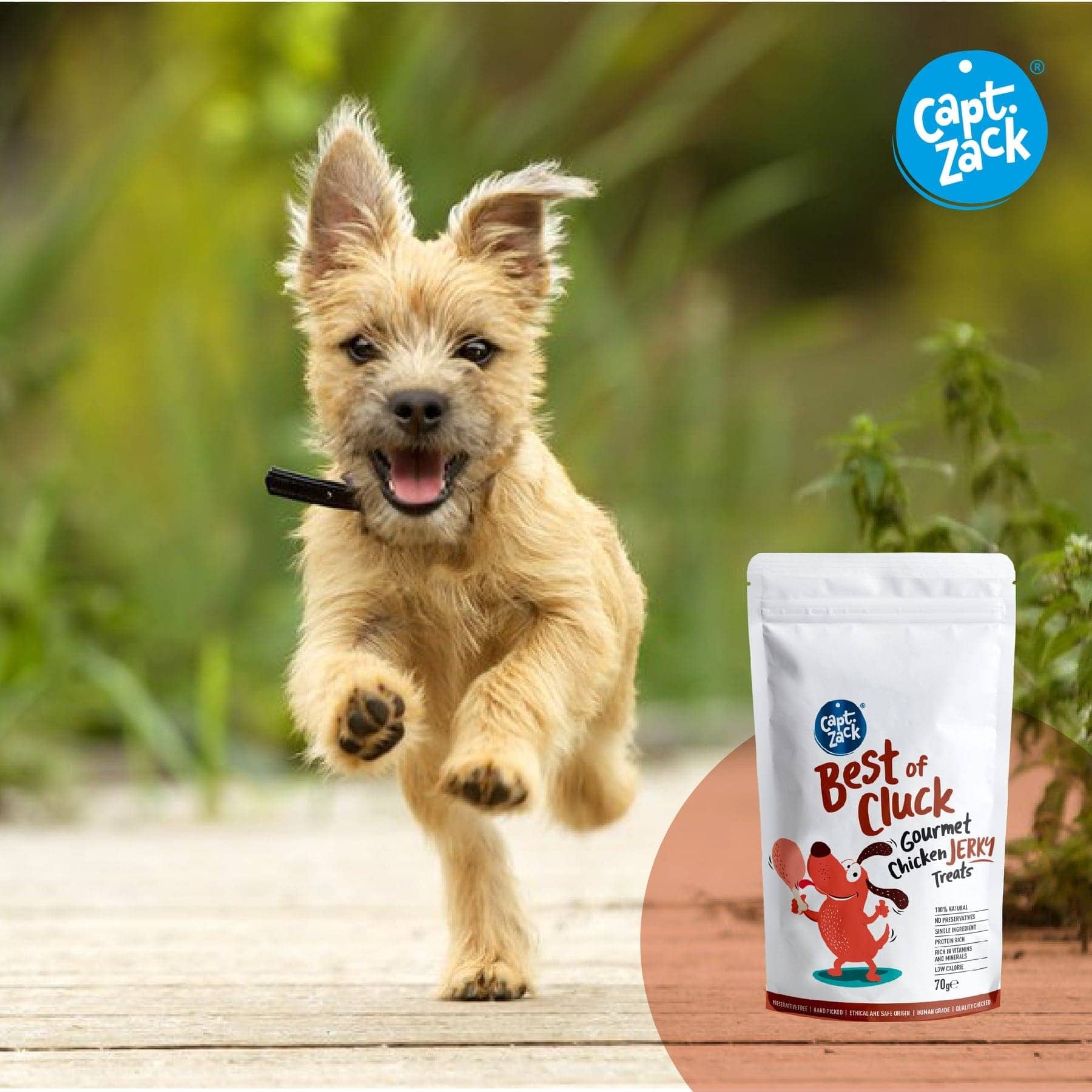 Captain Zack Best Of Cluck Gourment Chicken Jerky Treats