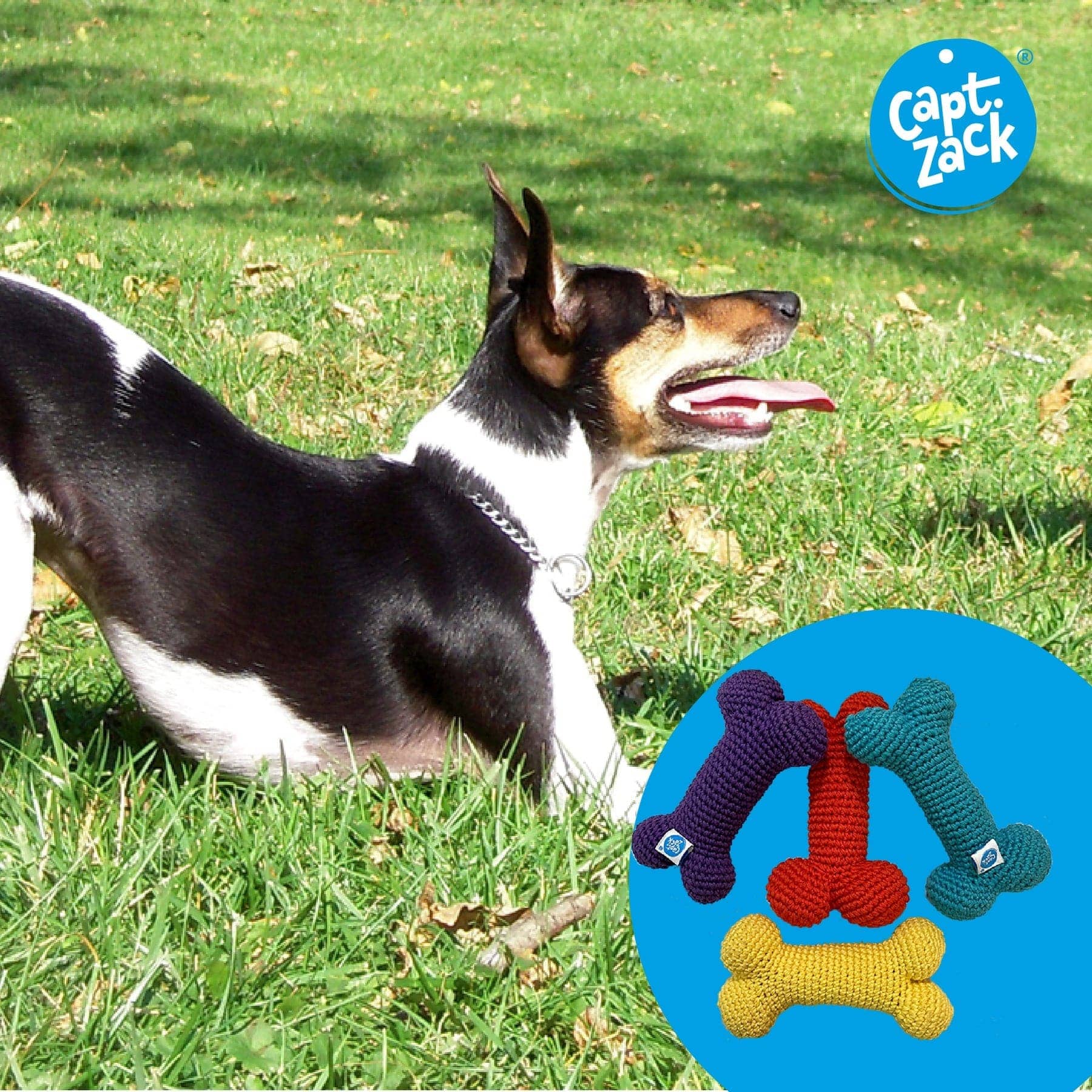 Captain Zack Crochet Bone Bisquit Toy for Dogs