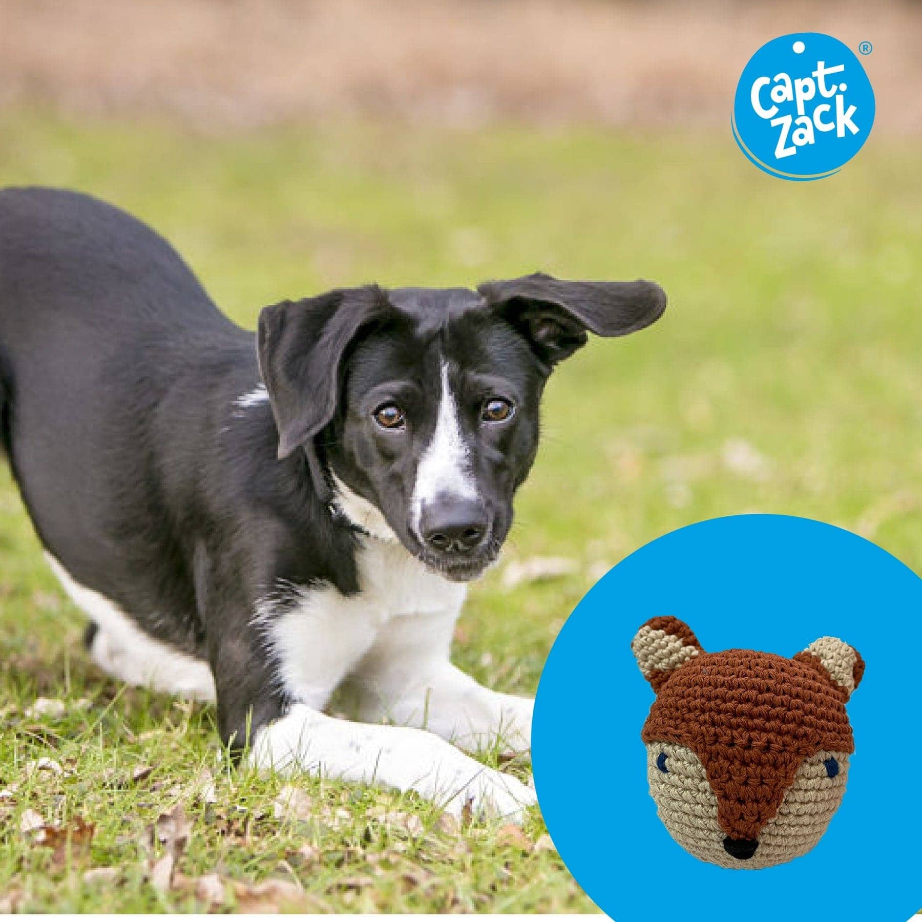 Captain Zack Crochet Fox Toy for Dogs
