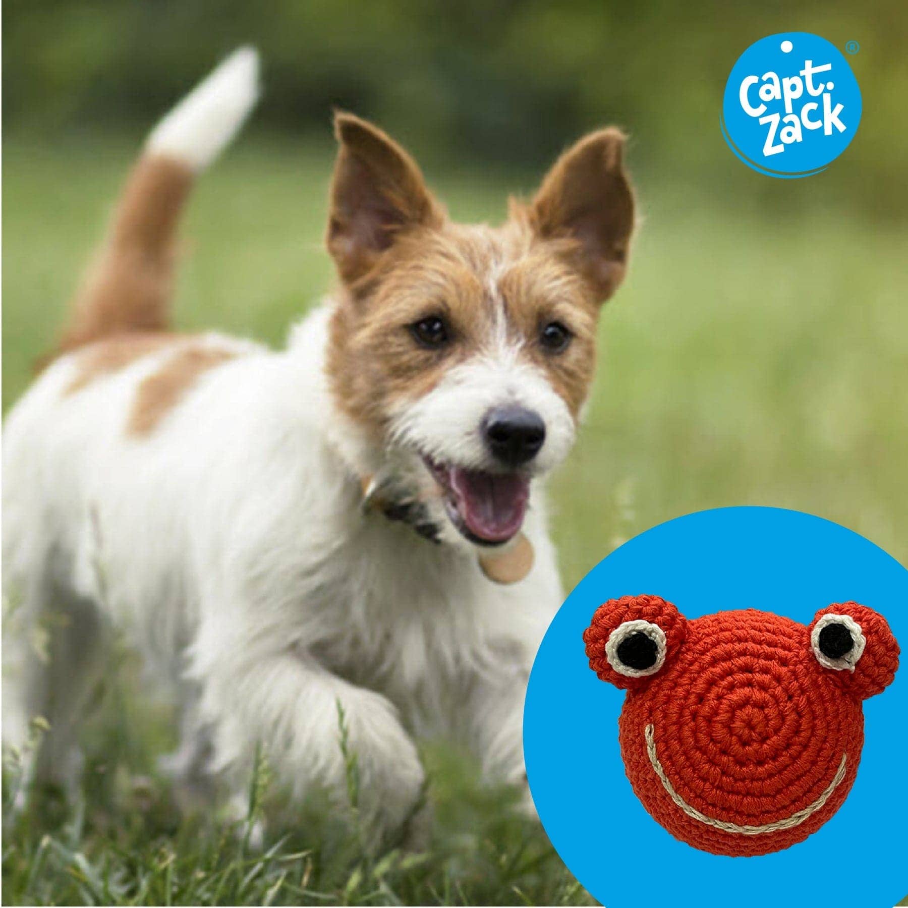 Captain Zack Crochet Frog Toy for Dogs