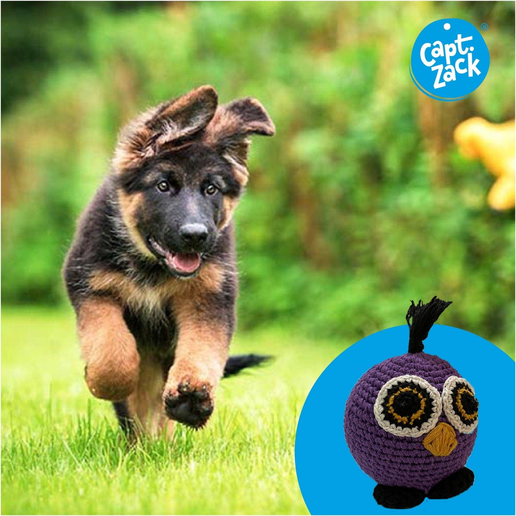 Captain Zack Crochet Owl Toy for Dogs