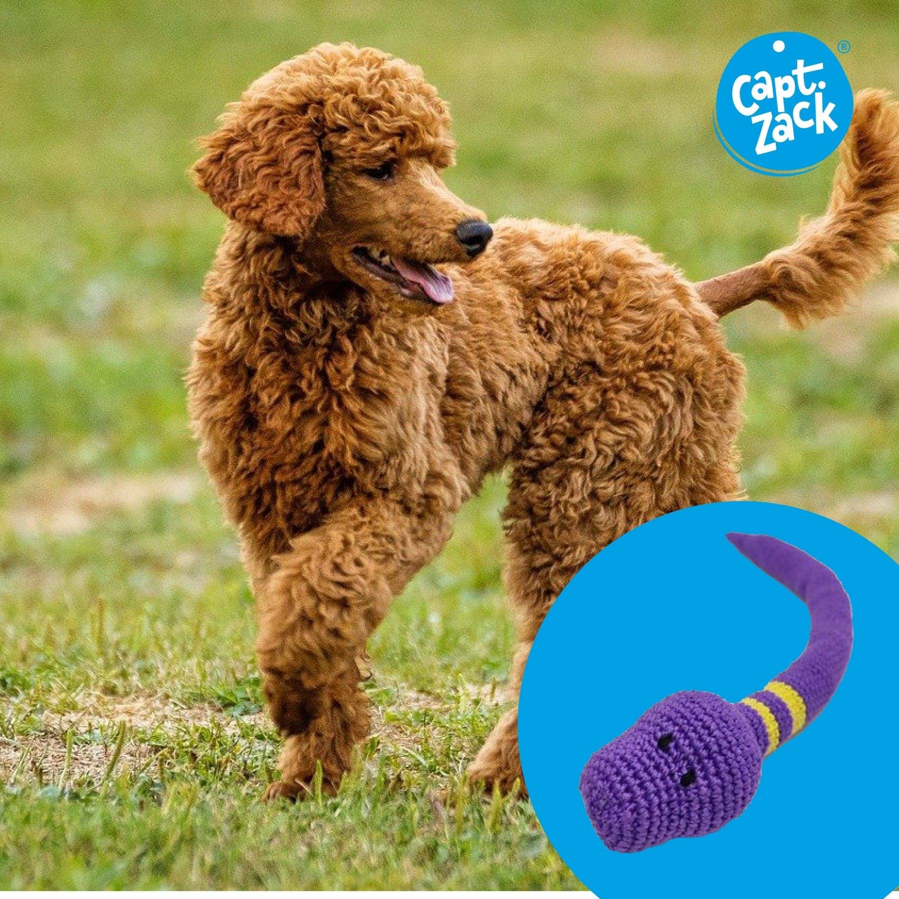 Captain Zack Crochet Snake Toy for Dogs