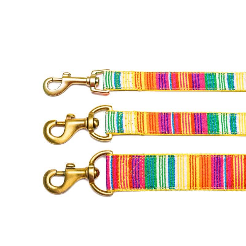 PetWale Nylon Leash for Dogs (Colourful Stripes)