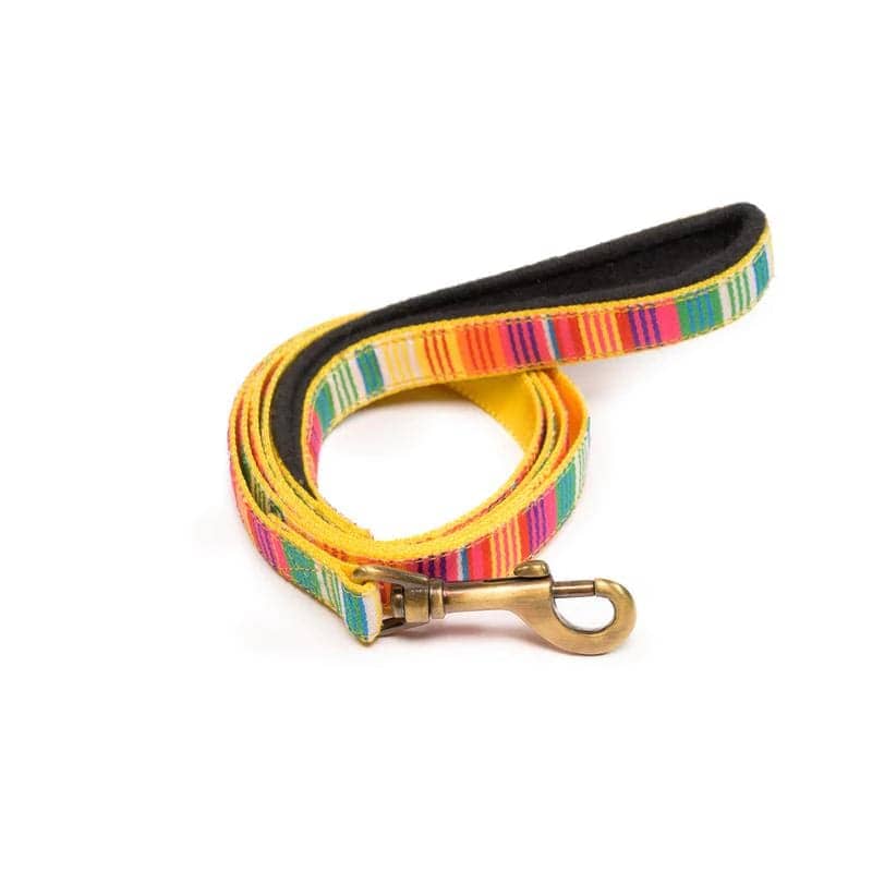 PetWale Nylon Leash for Dogs (Colourful Stripes)
