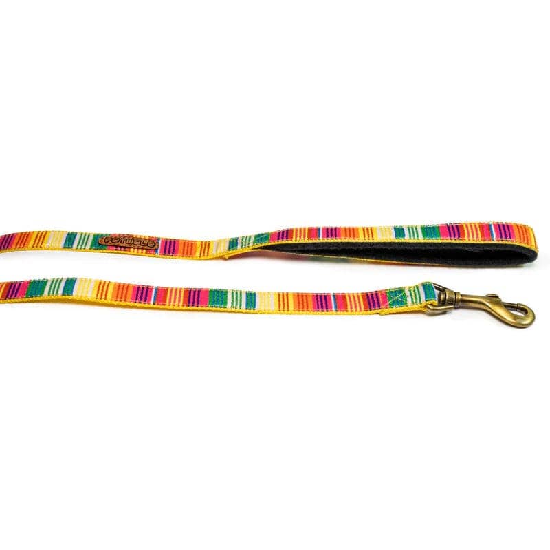 PetWale Nylon Leash for Dogs (Colourful Stripes)