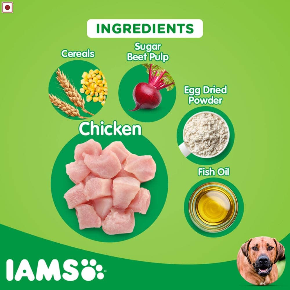 IAMS Proactive Health Adult Large Breed Dog Dry Food with Container