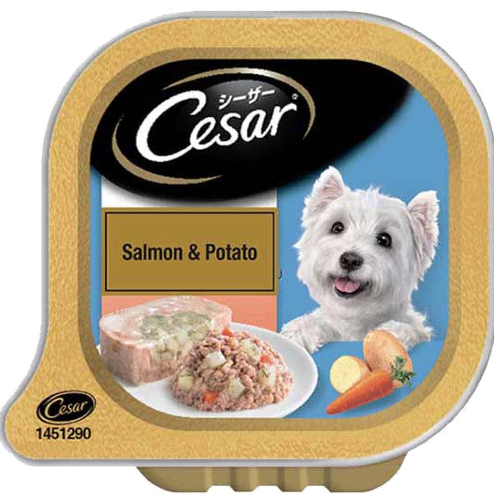 Cesar Salmon & Potato Adult Dog Wet Food
