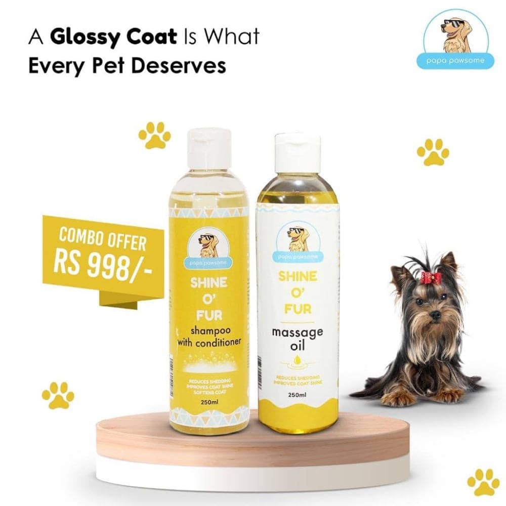 Papa Pawsome Shine On Fur Combo for Dogs